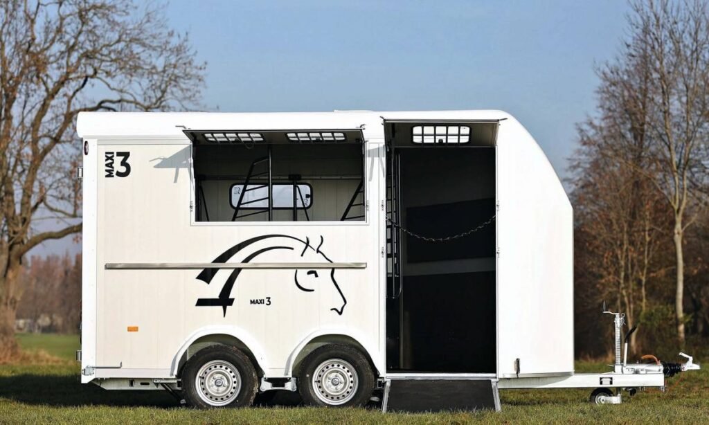 Cheval liberté 3places MAXI 3 2021 - Photo 20