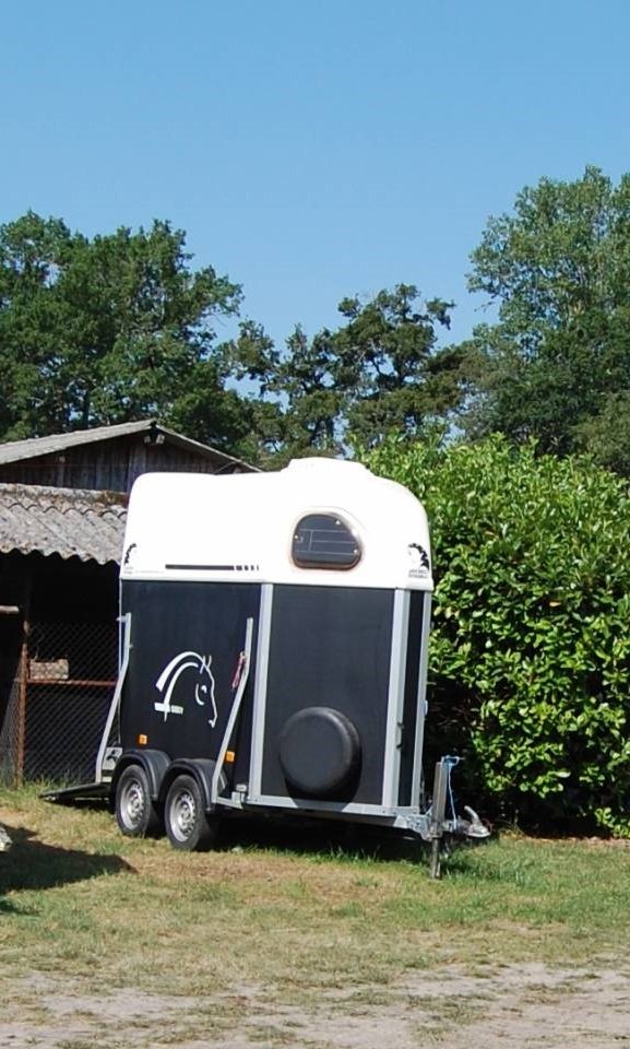 VAN CHEVAL LIBERTÉ 1,5 place occasion